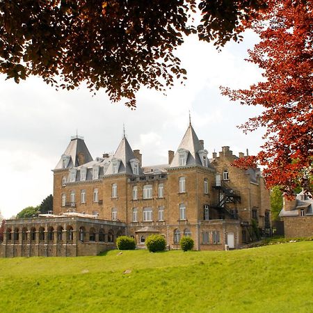 Domaine De Ronchinne - Chateau Et Ecuries Maillen Exterior photo